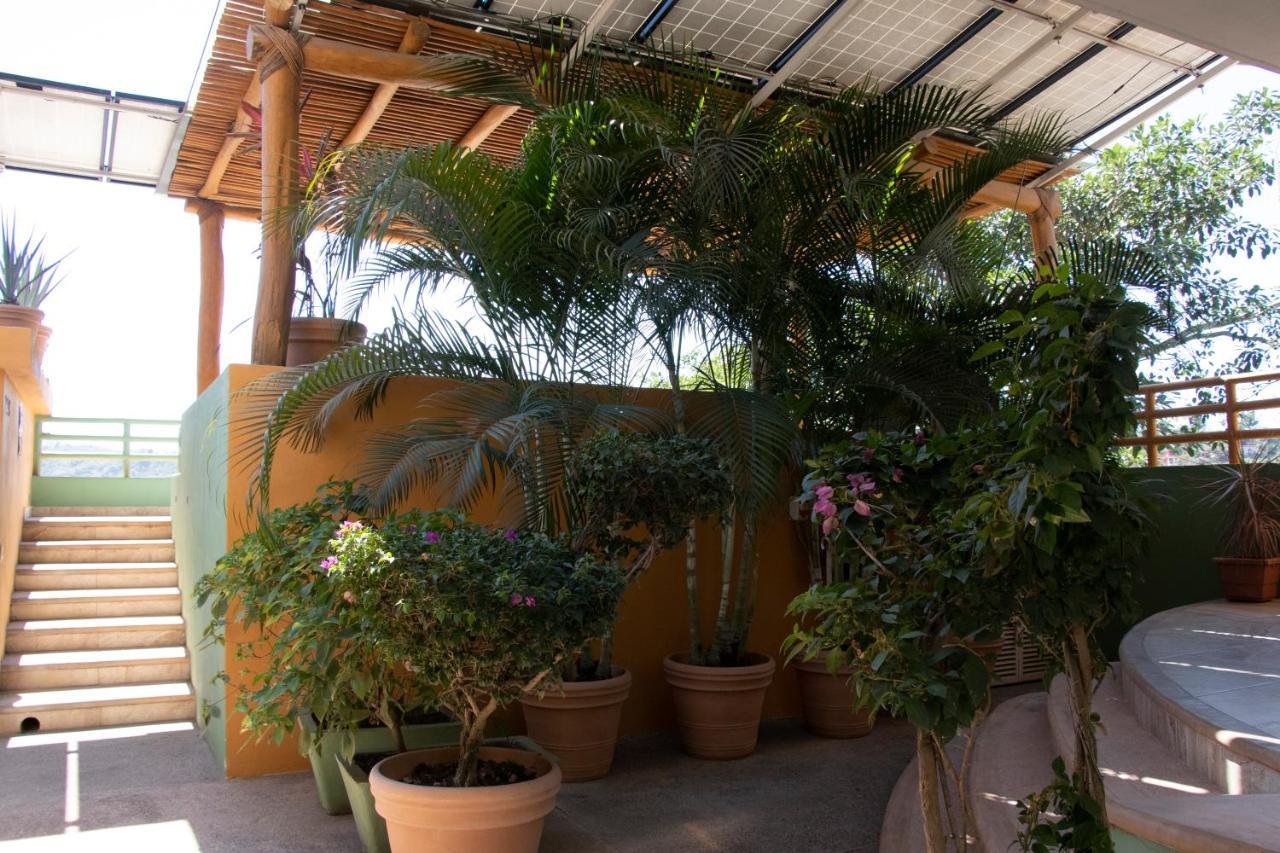 Mboutique Hotel Sayulita Exterior foto
